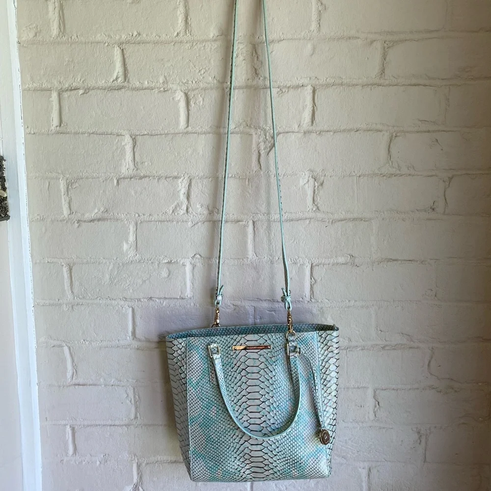 Brahmin new without